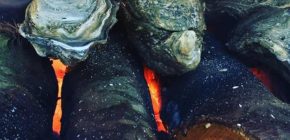 catering_durlev_grill catering_durlev_grill